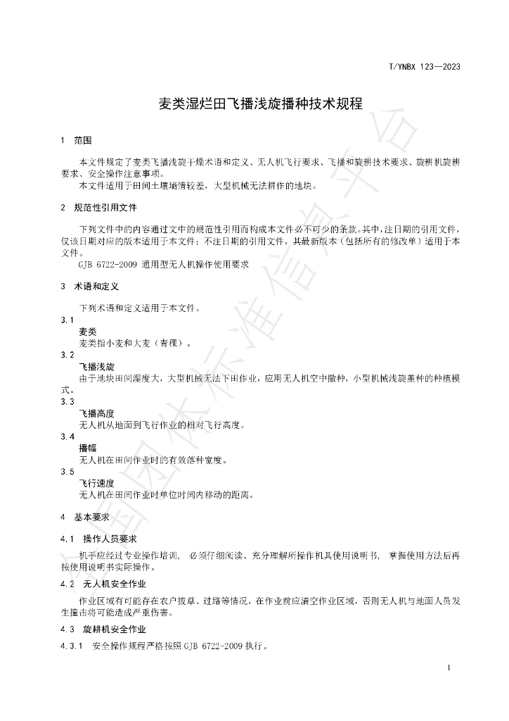 T/YNBX 123-2023 标准预览