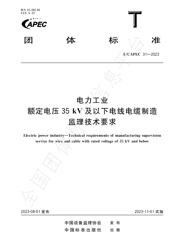 T/CAPEC 31-2023 标准预览