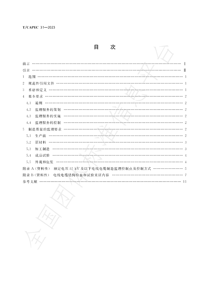 T/CAPEC 31-2023 标准预览