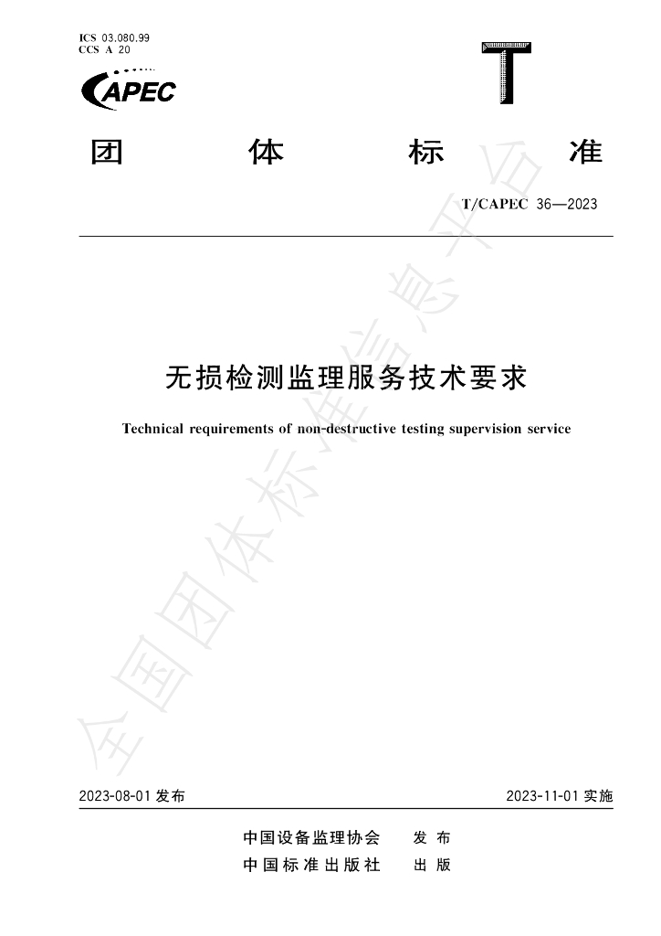 T/CAPEC 36-2023 标准预览