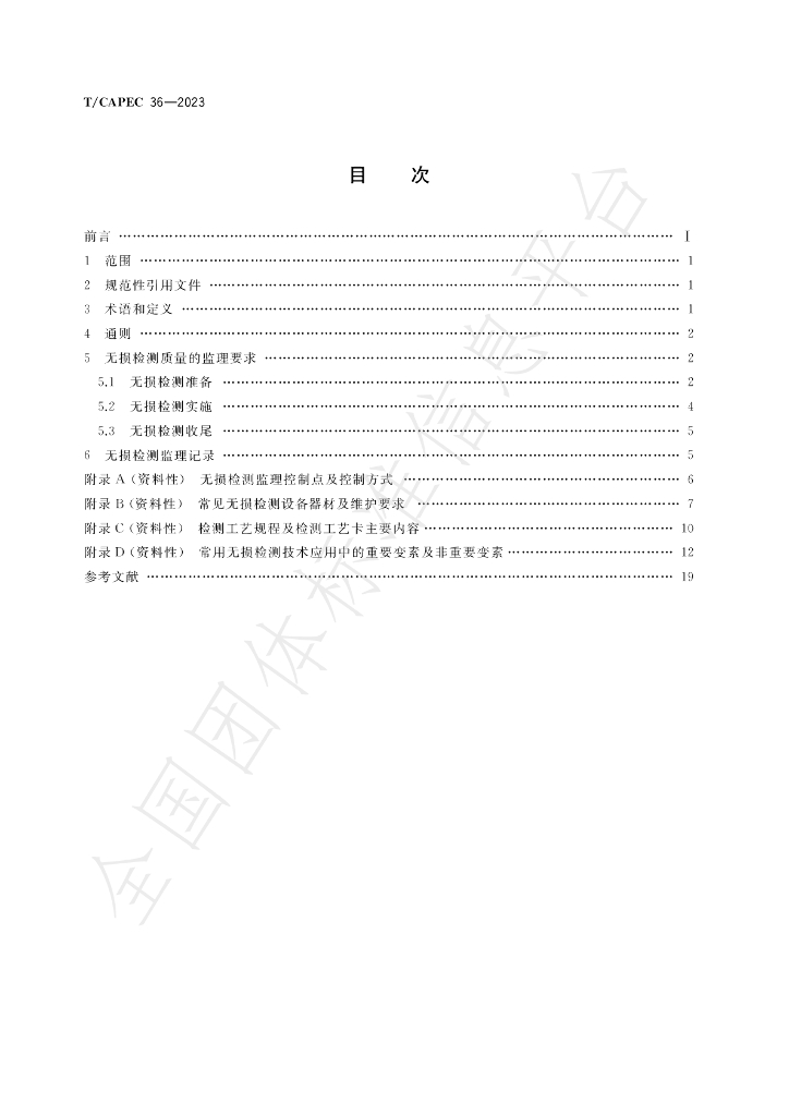 T/CAPEC 36-2023 标准预览