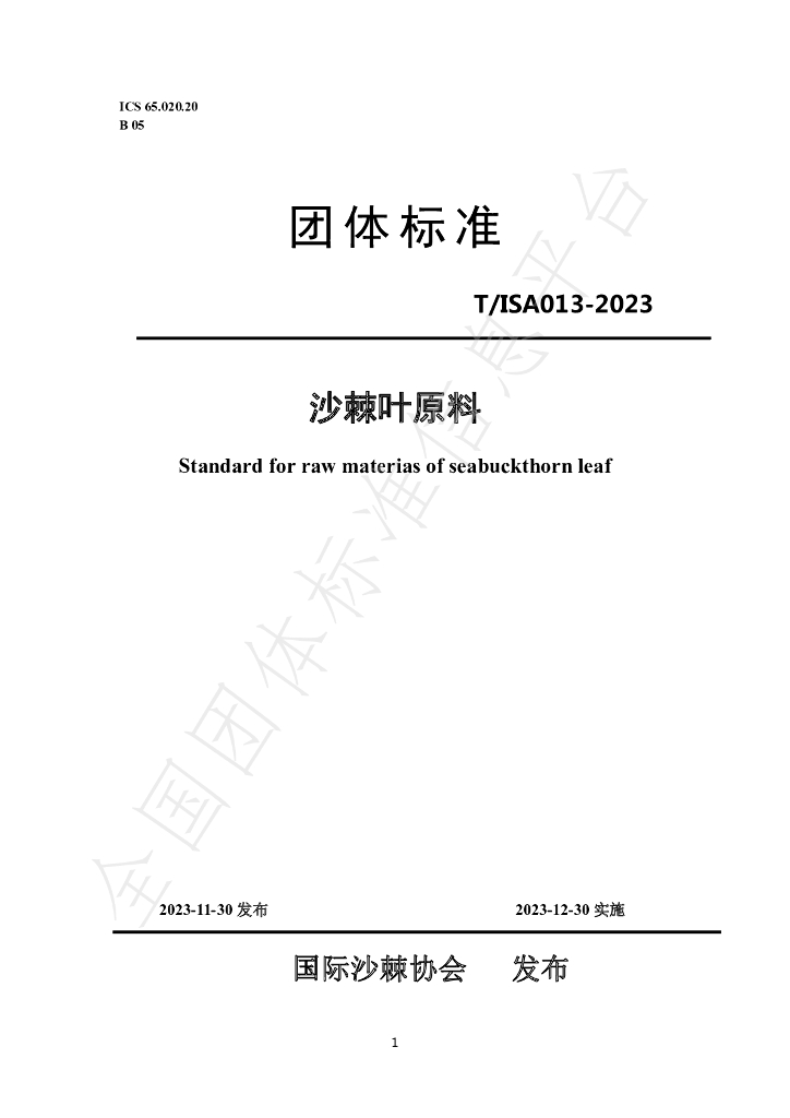T/ISAS 013-2023 标准预览
