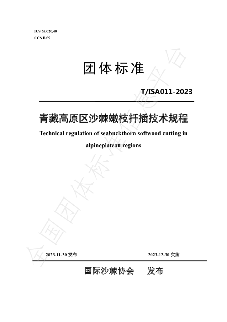 T/ISAS 011-2023 标准预览