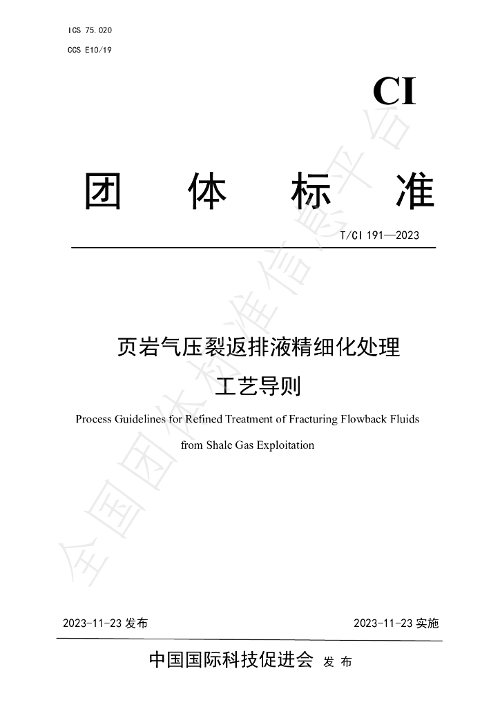 T/CI 191-2023 标准预览