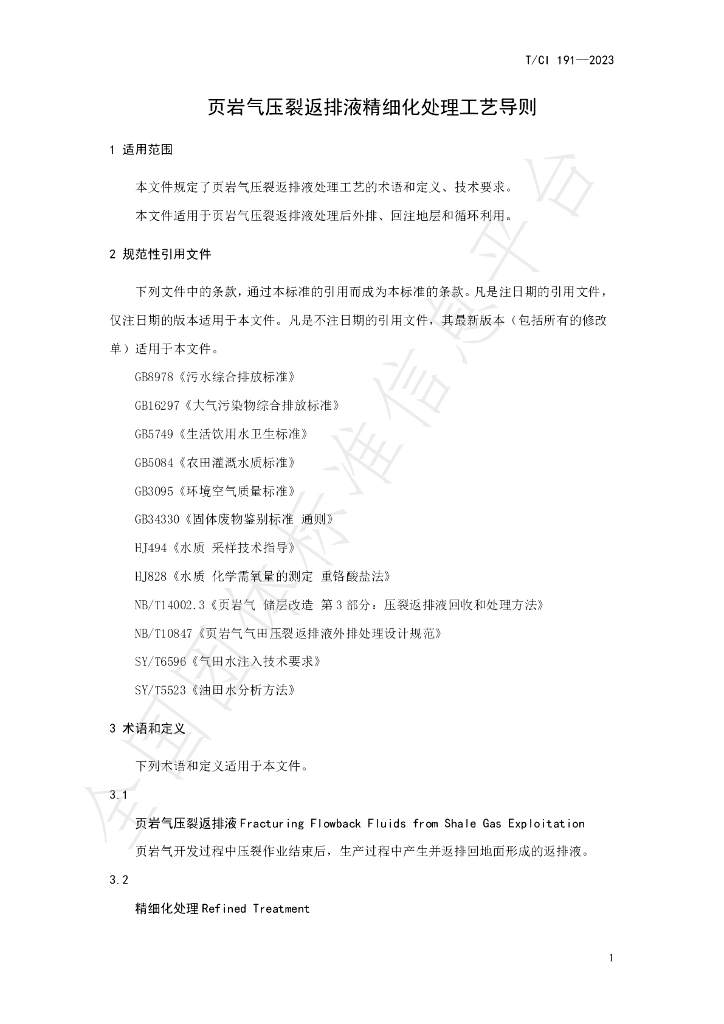 T/CI 191-2023 标准预览