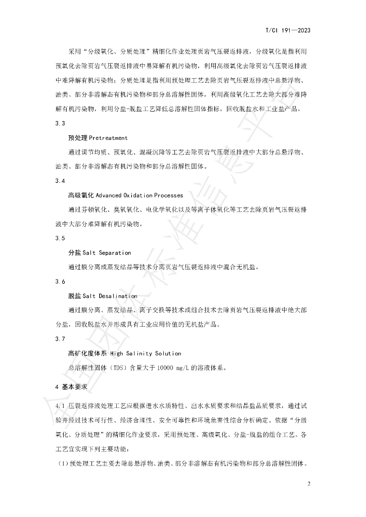 T/CI 191-2023 标准预览