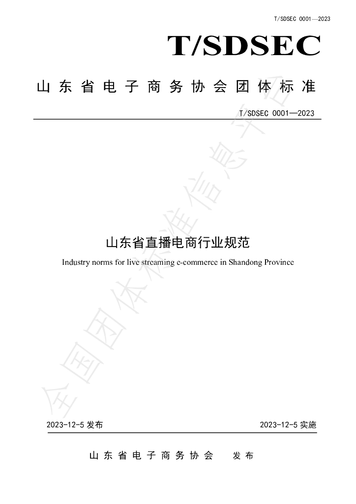 T/SDSEC 001-2023 标准预览