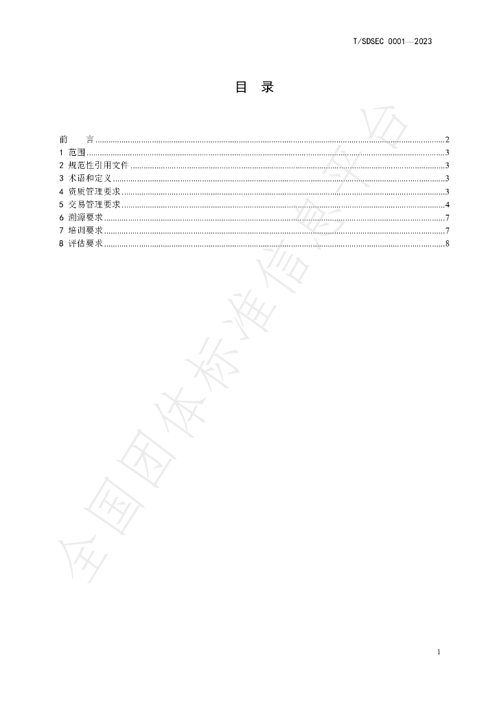 T/SDSEC 001-2023 标准预览