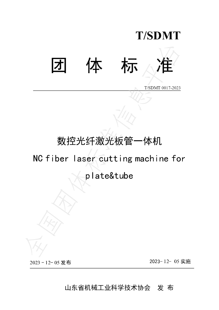 T/SDMT 0017-2023 标准预览