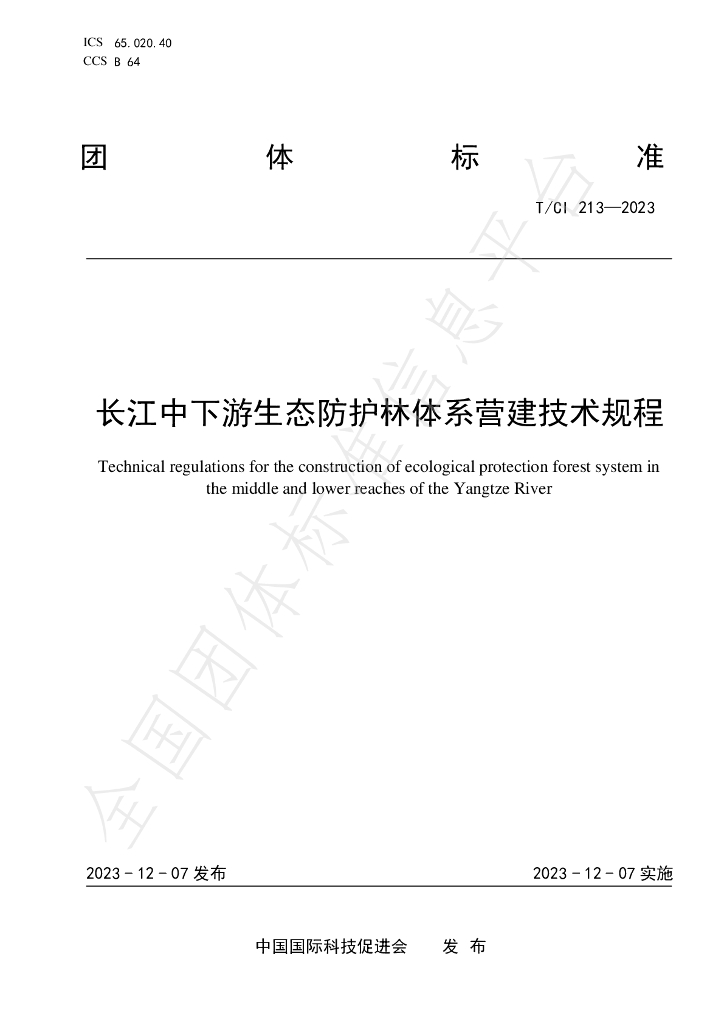 T/CI 213-2023 标准预览