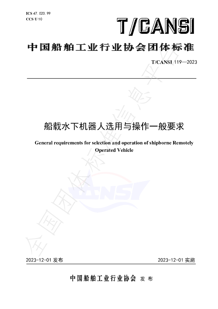 T/CANSI 119-2023 标准预览