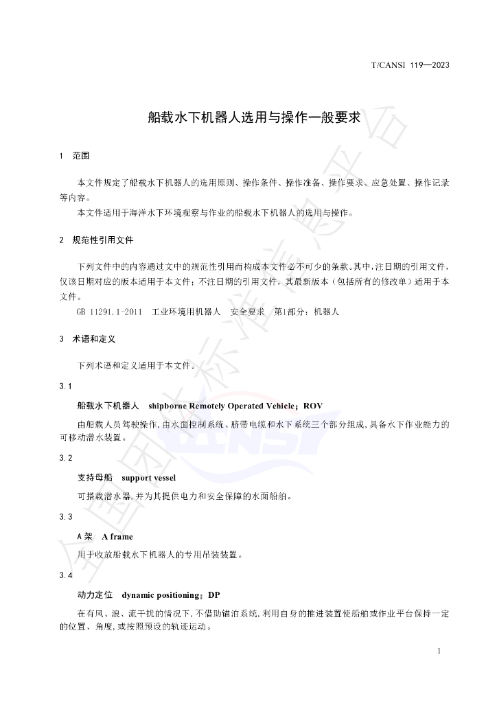 T/CANSI 119-2023 标准预览