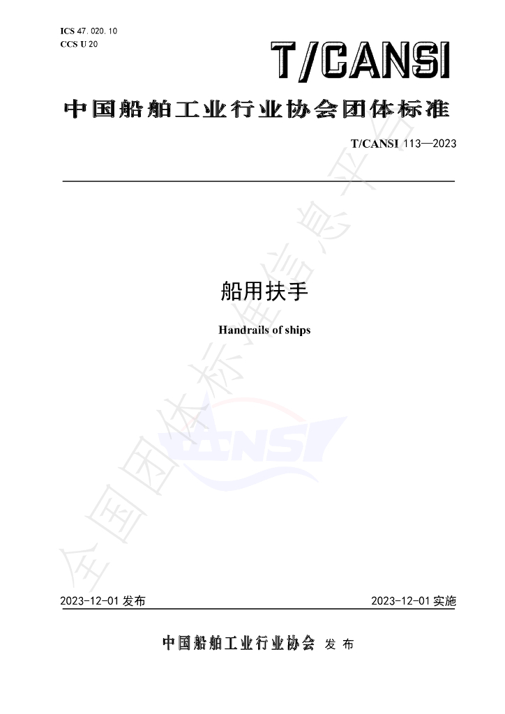 T/CANSI 113-2023 标准预览