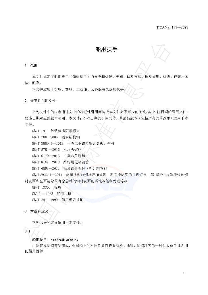 T/CANSI 113-2023 标准预览