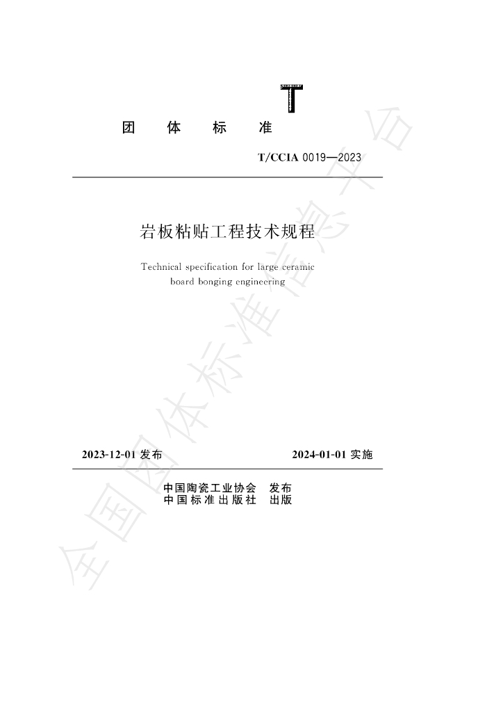 T/CCIA 0019-2023 标准预览