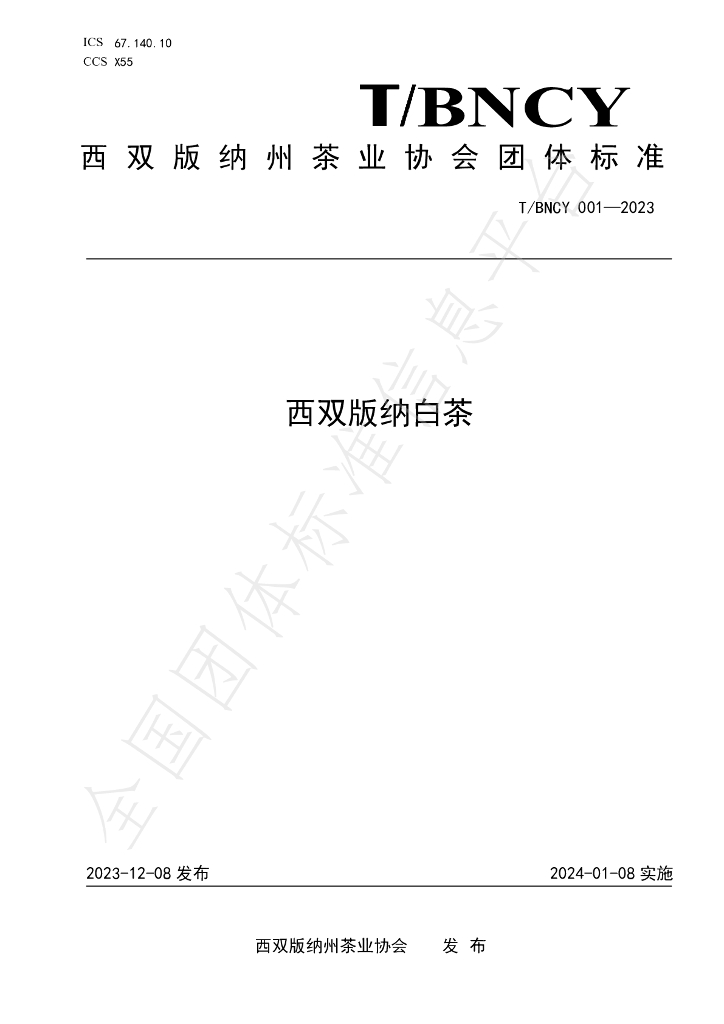 T/BNCY 001-2023 标准预览