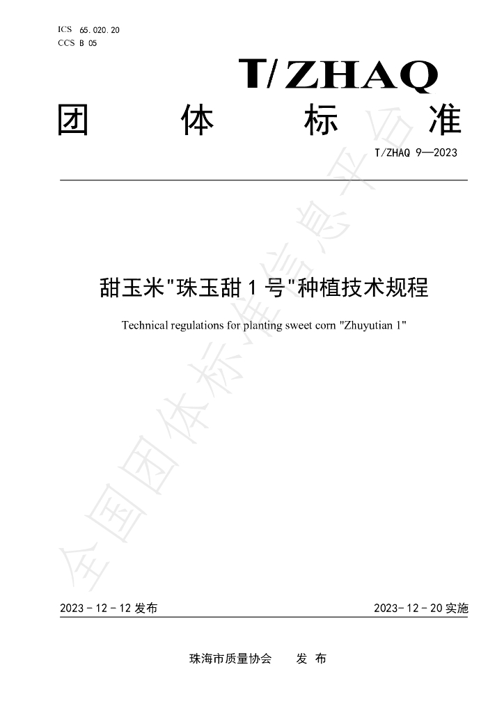T/ZHAQ 9-2023 标准预览