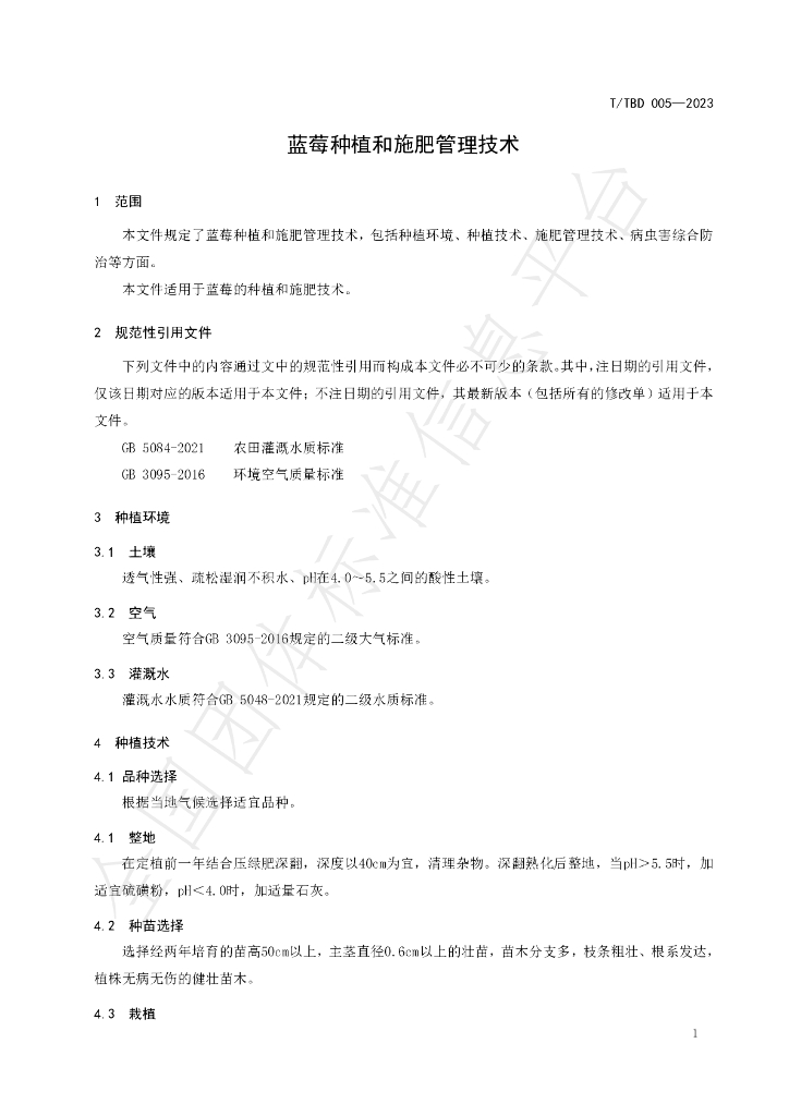 T/TBD 005-2023 标准预览