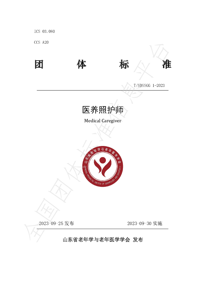 T/SDSSGG 1-2023 标准预览
