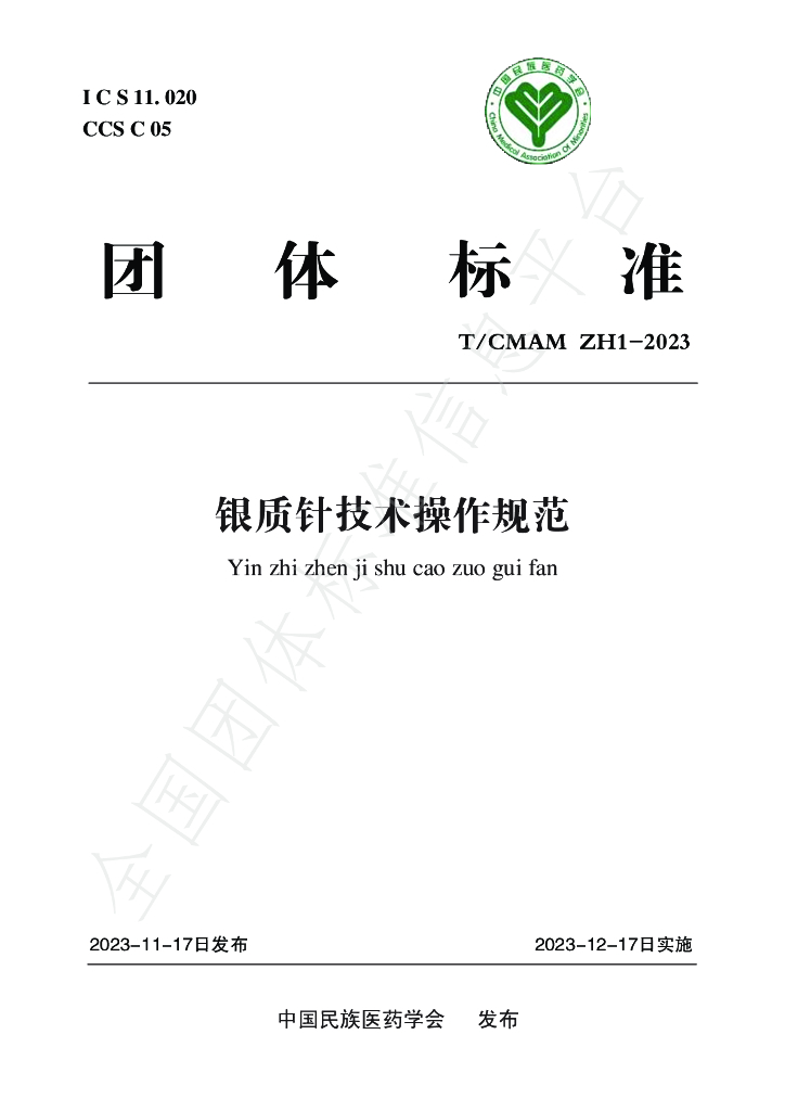 T/CMAM ZH1-2023 标准预览