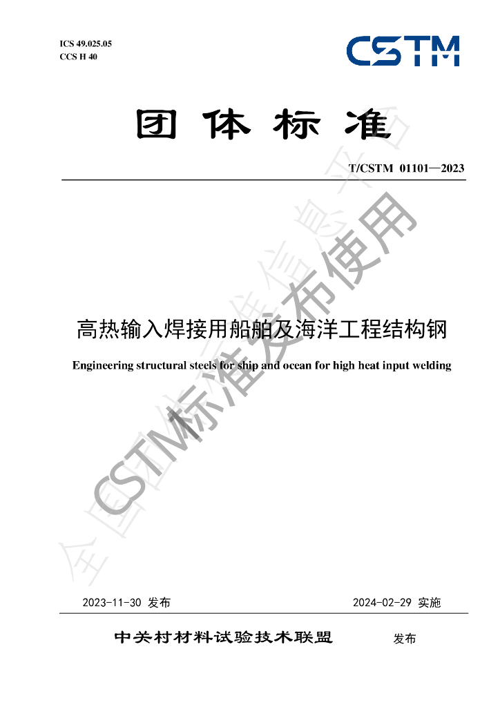 T/CSTM 01101-2023 标准预览