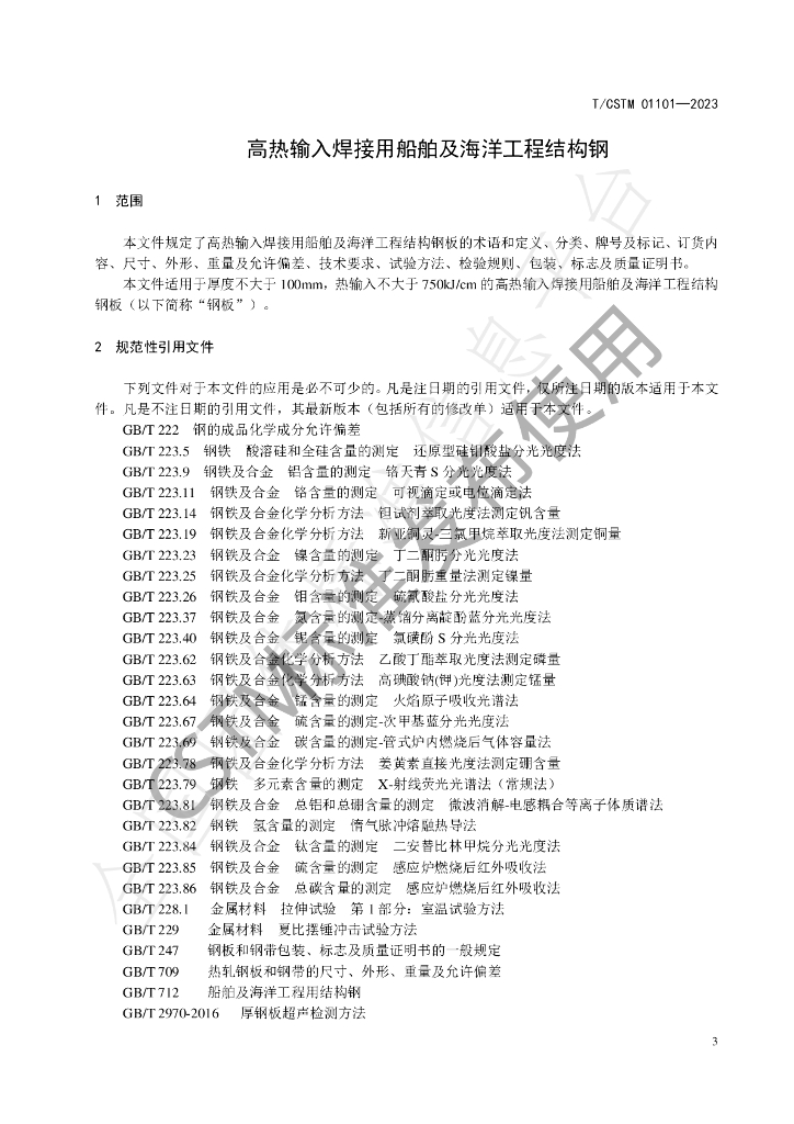 T/CSTM 01101-2023 标准预览