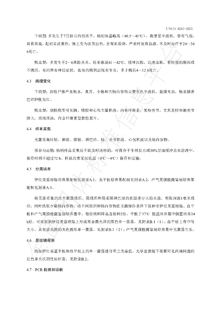 T/NAIA 0265-2023 标准预览