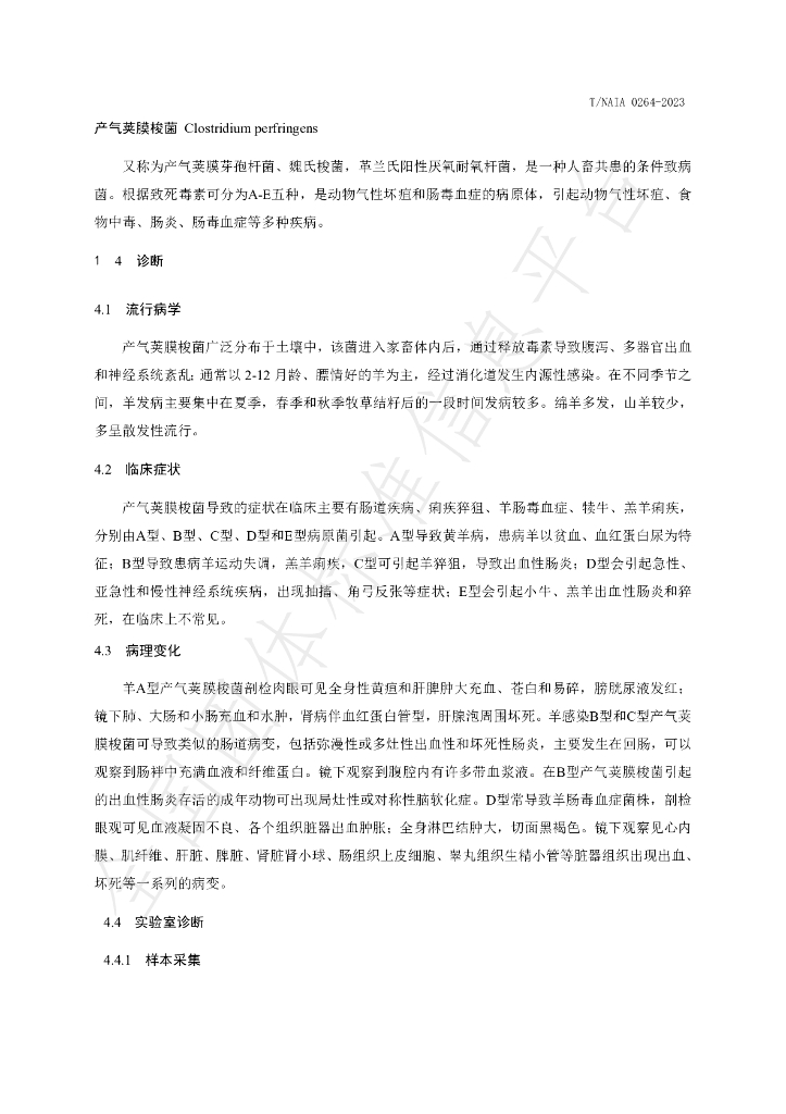 T/NAIA 0264-2023 标准预览
