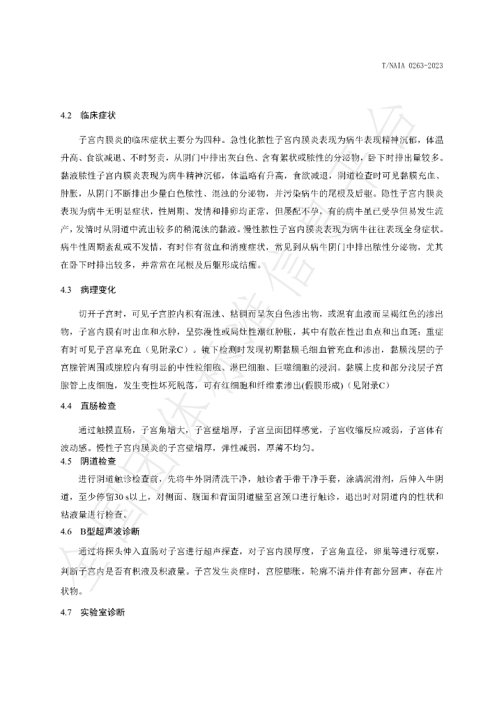 T/NAIA 0263-2023 标准预览