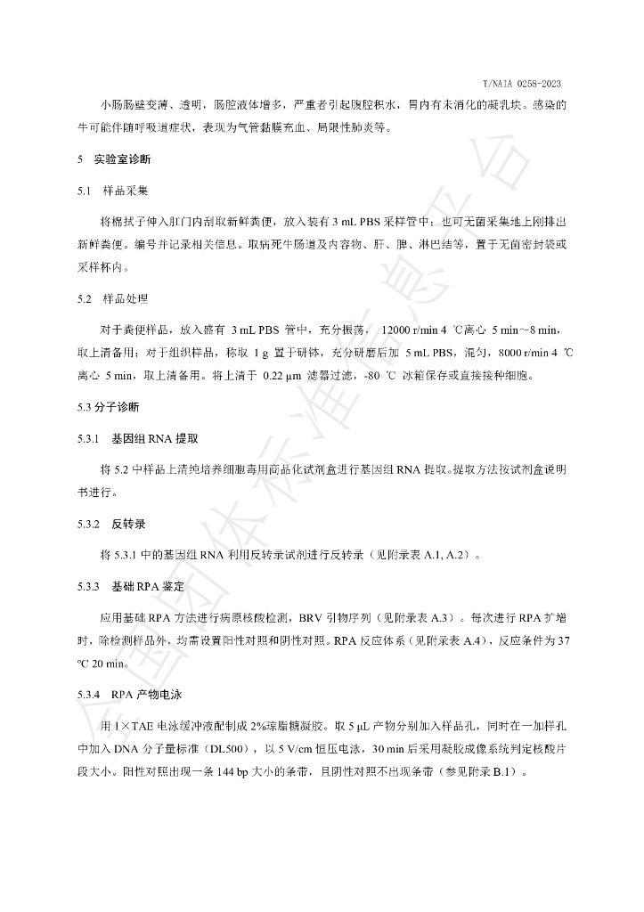 T/NAIA 0258-2023 标准预览