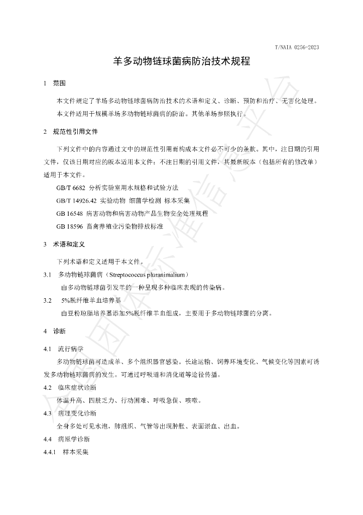 T/NAIA 0256-2023 标准预览