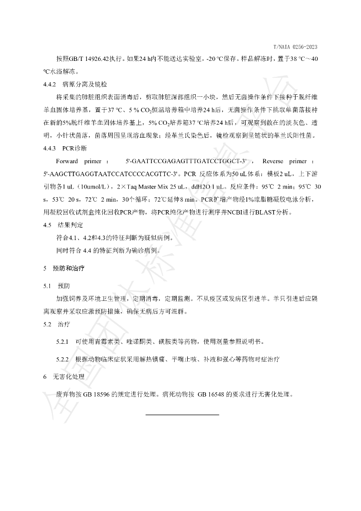 T/NAIA 0256-2023 标准预览