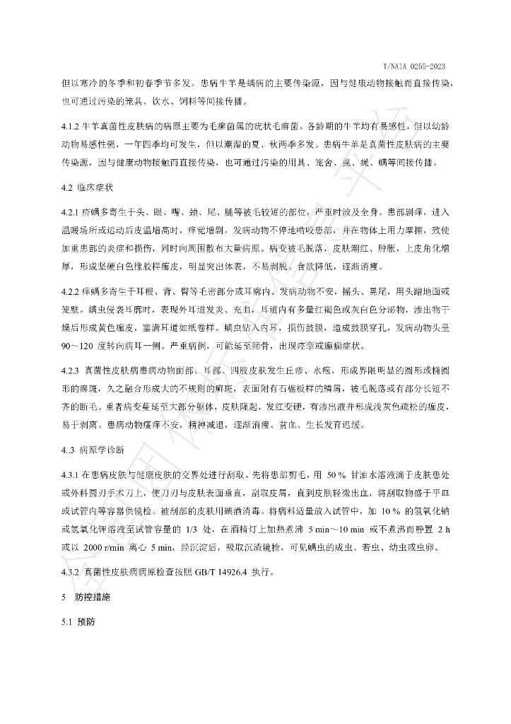 T/NAIA 0255-2023 标准预览