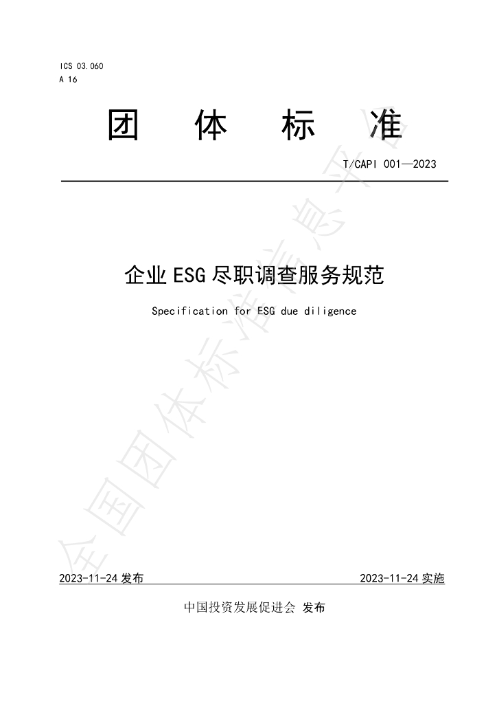 T/CAPI 001-2023 标准预览