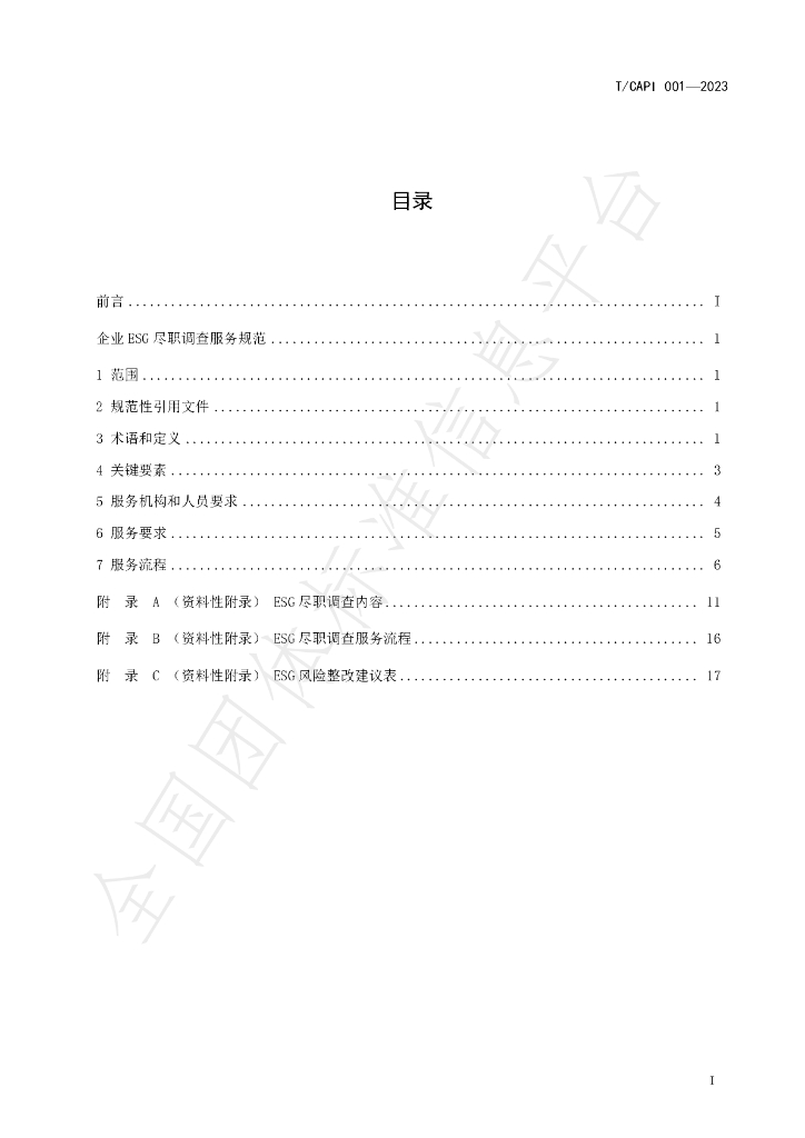 T/CAPI 001-2023 标准预览