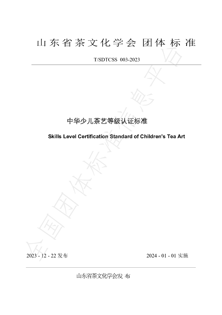 T/SDTCSS 003-2023 标准预览