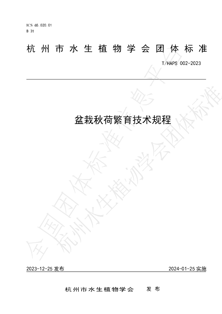 T/HAPS 002-2023 标准预览