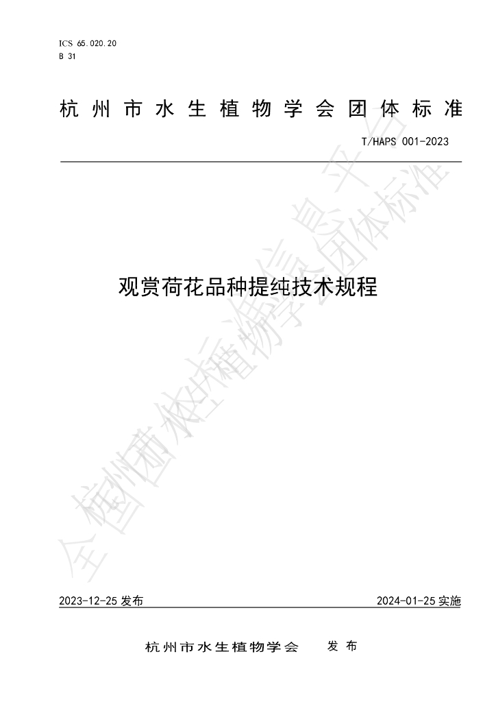 T/HAPS 001-2023 标准预览