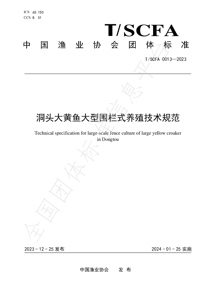 T/SCFA 0013-2023 标准预览