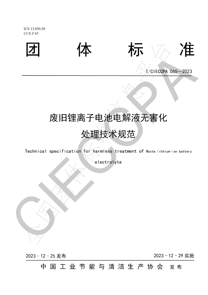 T/CIECCPA 065-2023 标准预览