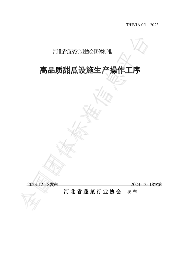 T/HVIA 04-2023 标准预览