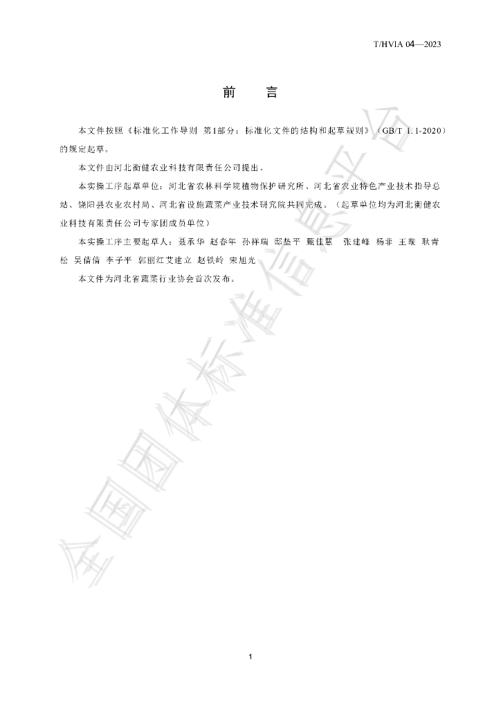 T/HVIA 04-2023 标准预览