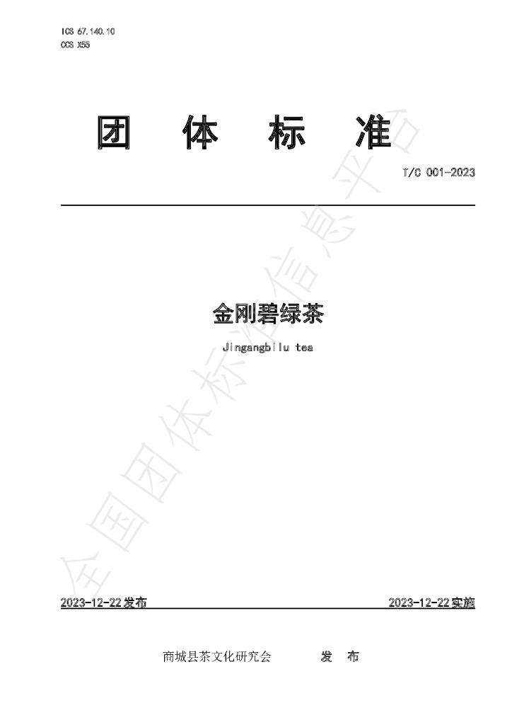 T/C 001-2023 标准预览
