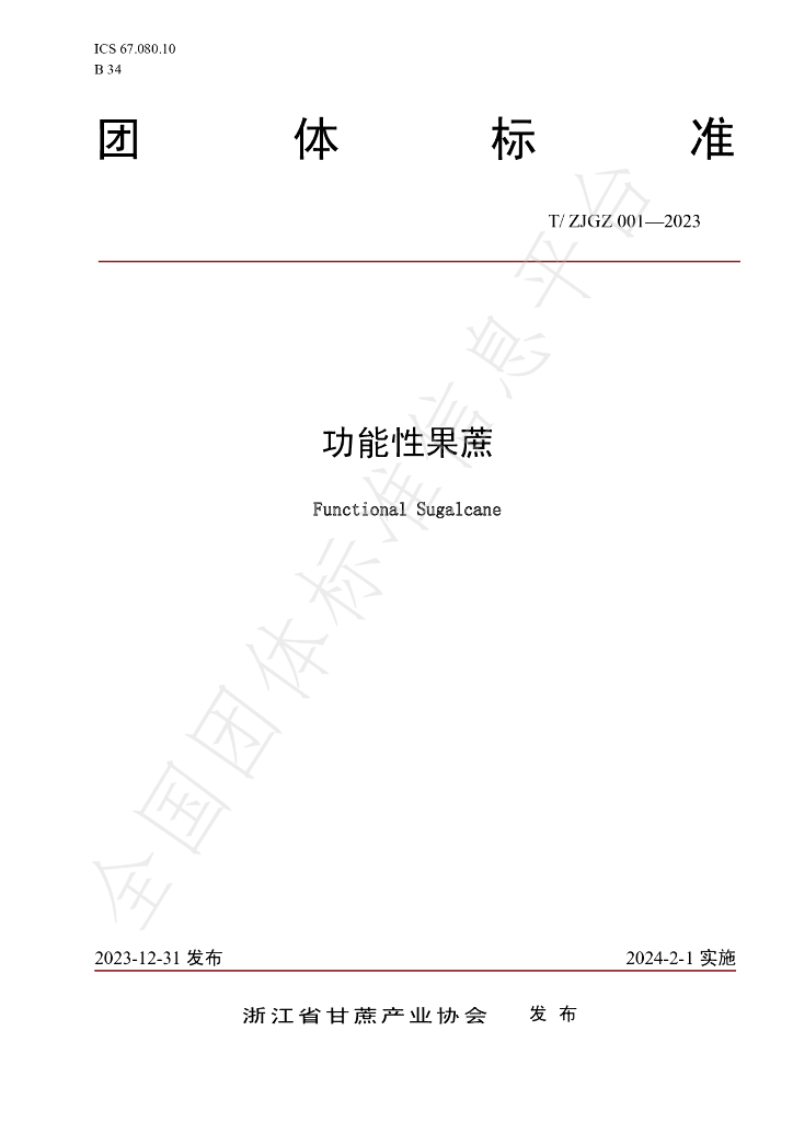 T/ZJGZ 001-2023 标准预览