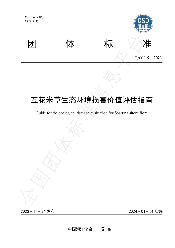 T/CSO 9-2023 标准预览