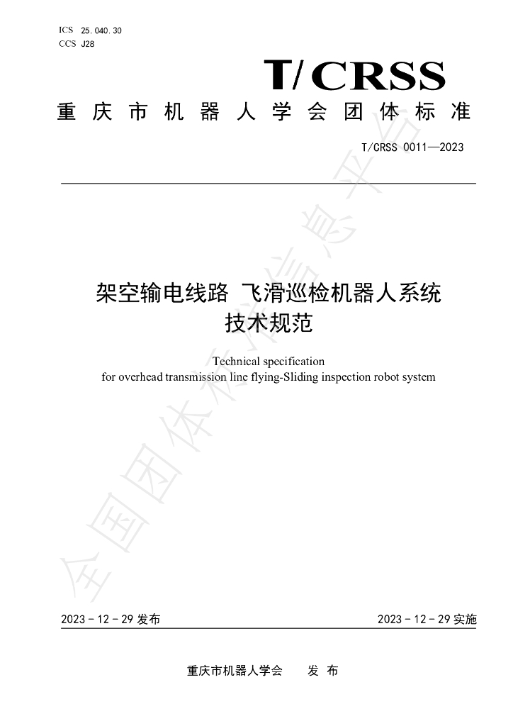 T/CRSS 0011-2023 标准预览