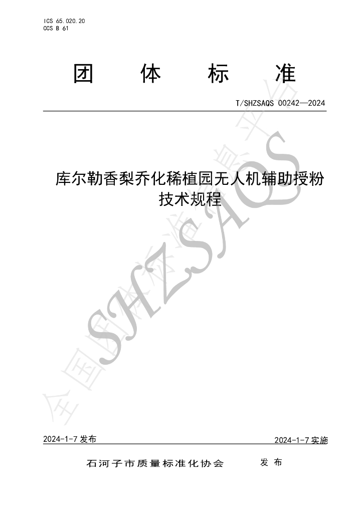 T/SHZSAQS 00242-2024 标准预览