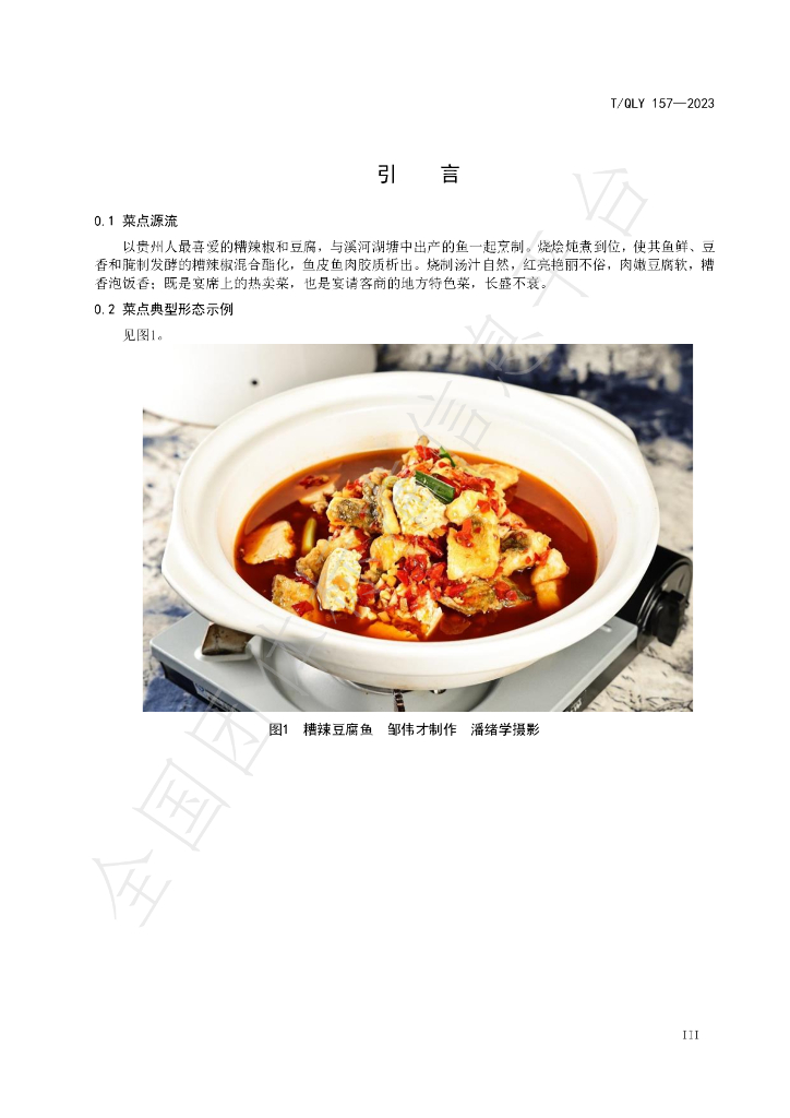 T/QLY 157-2023 标准预览
