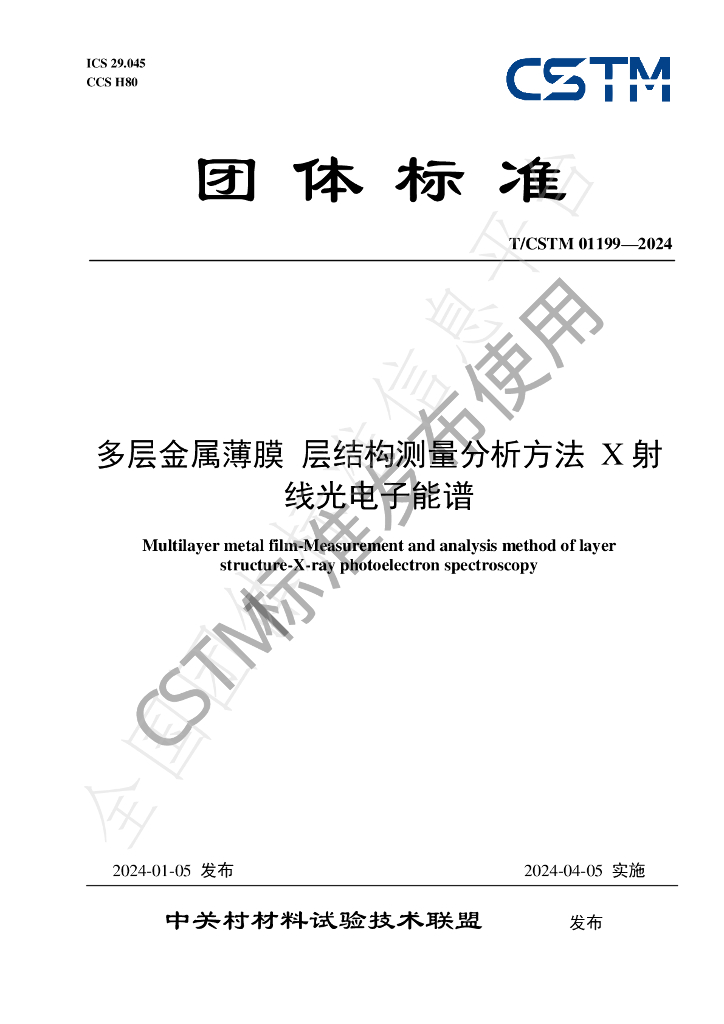 T/CSTM 01199-2024 标准预览