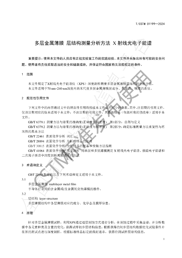 T/CSTM 01199-2024 标准预览